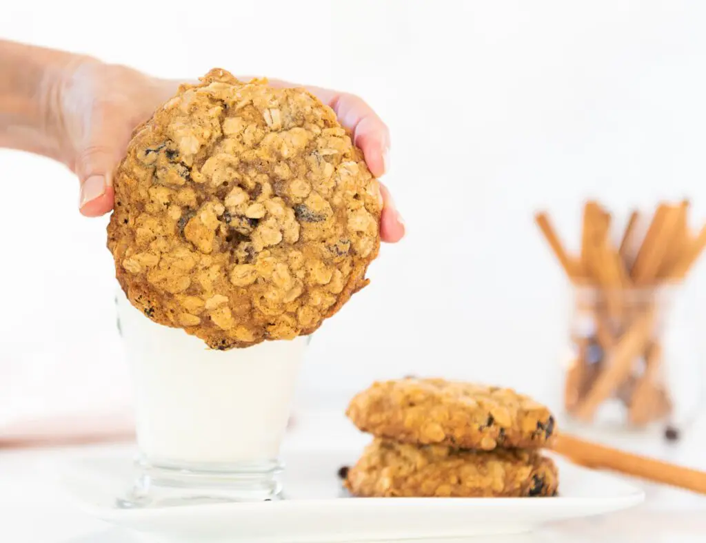 Hand holding huge oatmeal raisin cookie