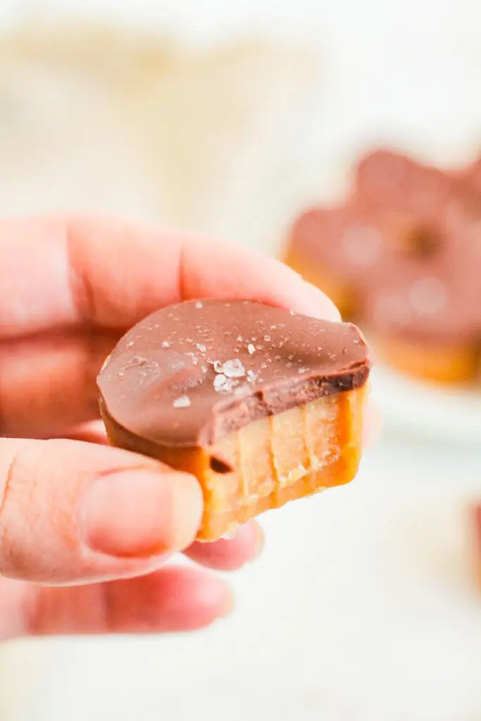Hand holding peanut butter cup