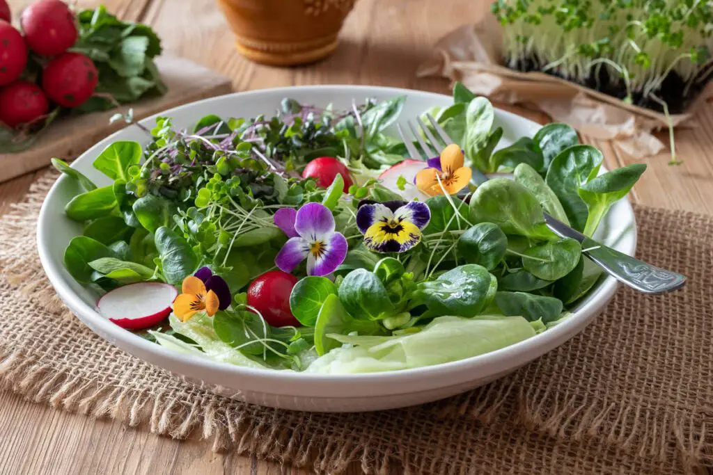 Microgreen Salad.