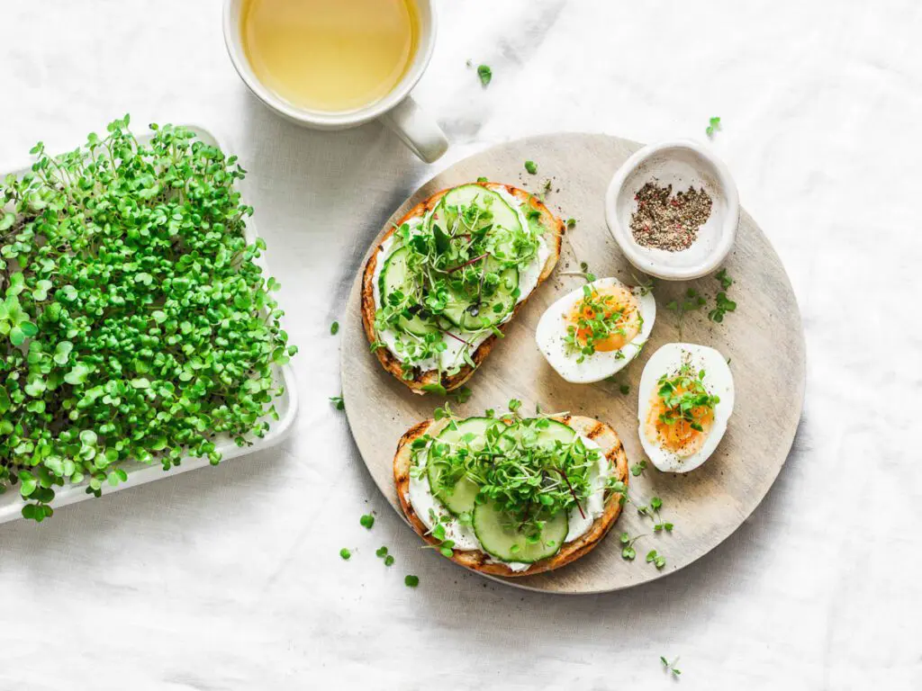 Salads with Microgreens.