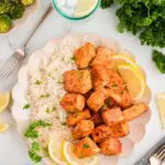 salmon Bites plated with rice and lemon