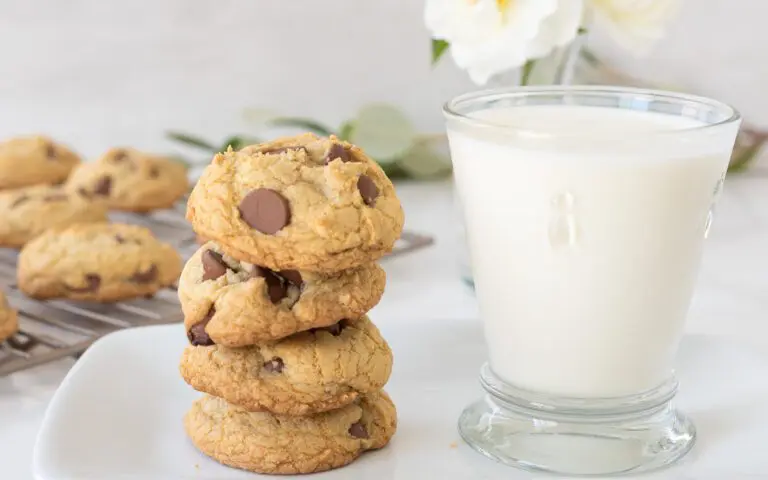Baked Gluten Free Soft Chocolate Chip Cookies