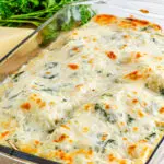 Pan of chicken alfredo lasagna