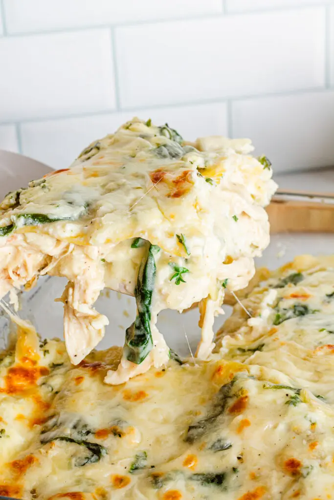 Cheesy slice of gluten free chicken alfredo lasagna