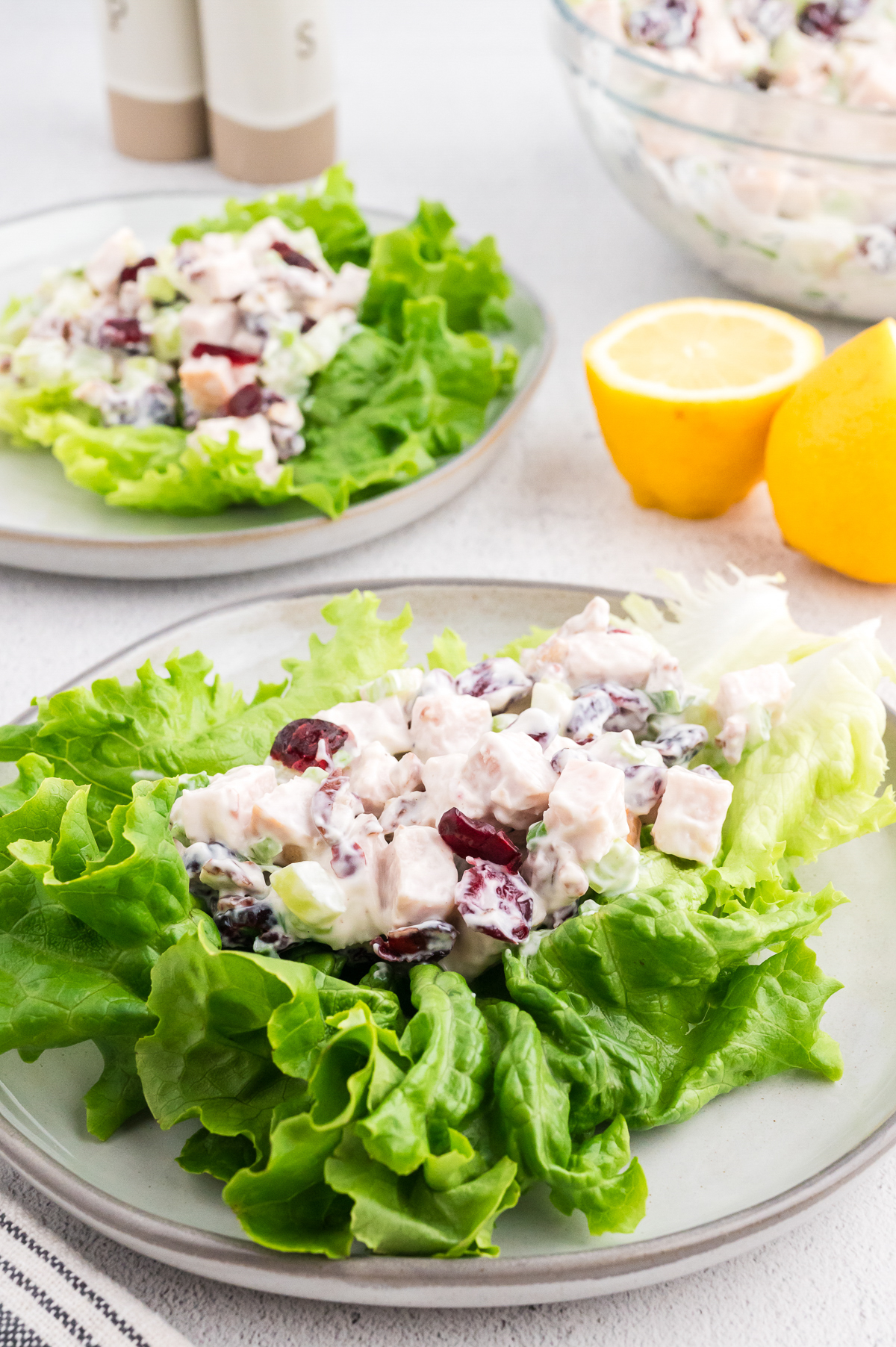 Plates of Turkey Cranberry Salad 