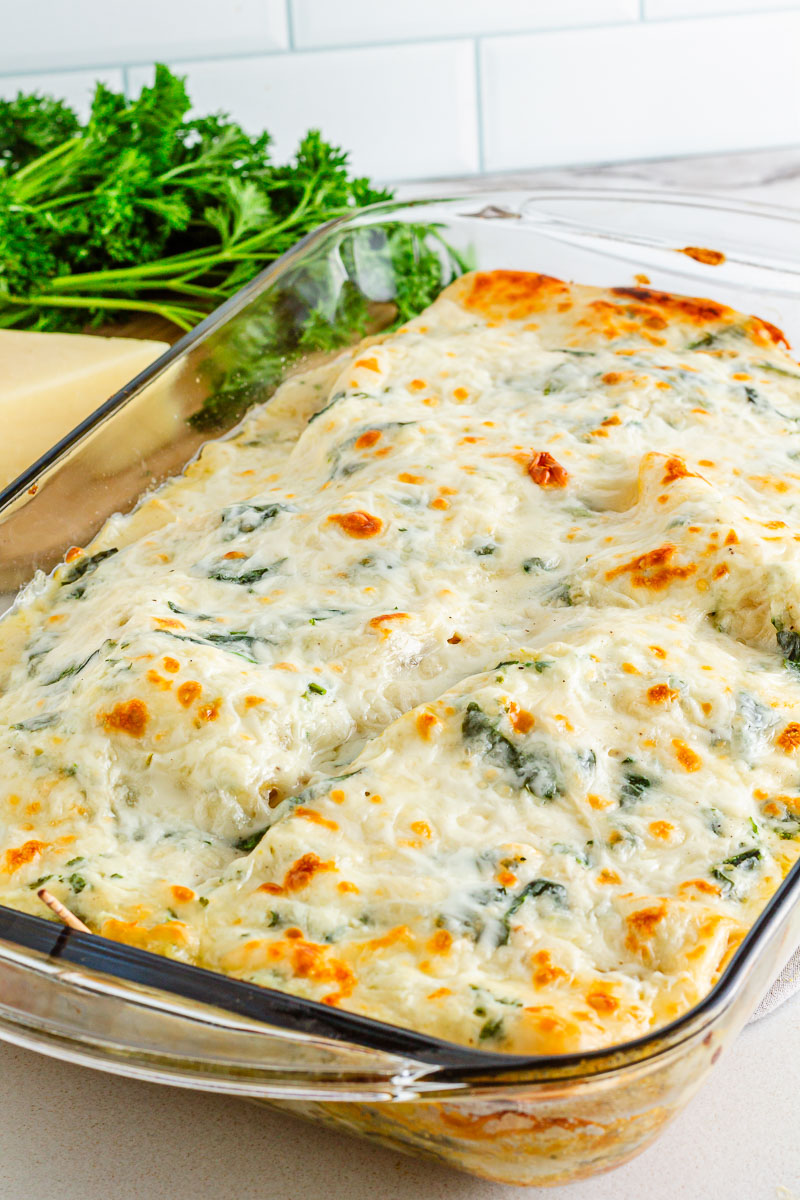 Pan of gluten free Chicken Alfredo Lasagna